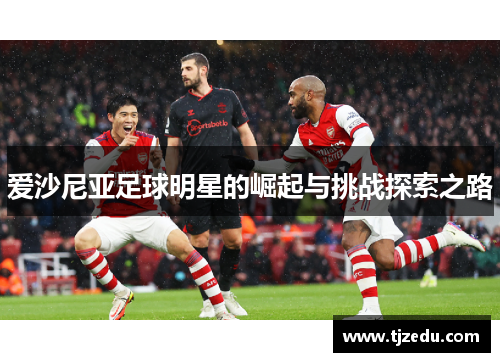 爱沙尼亚足球明星的崛起与挑战探索之路