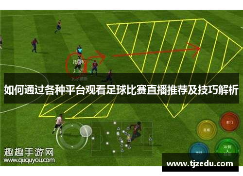 如何通过各种平台观看足球比赛直播推荐及技巧解析